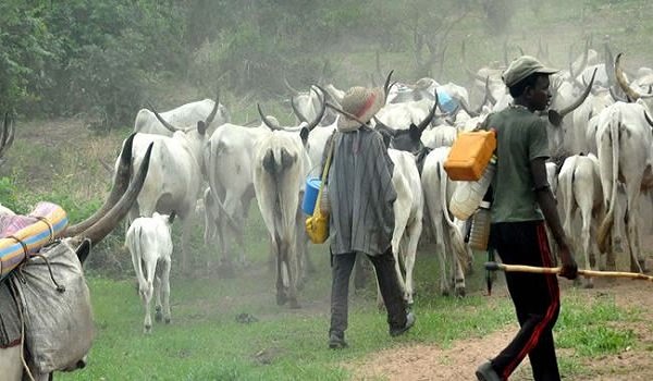 BREAKING: Panic As Herdsmen Ambush Team Of Security Operatives After Killing Farmer
