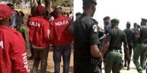 NDLEA Operatives, Policemen Fight After Inspector's Wife Was Arrested With Drugs At Police Station