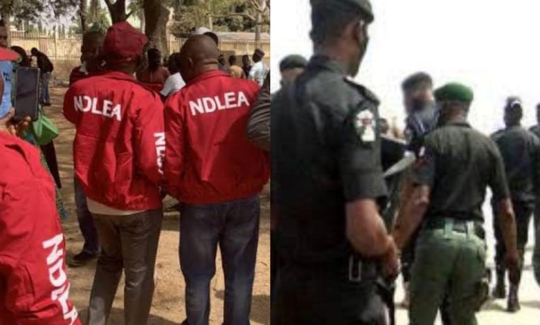 NDLEA Operatives, Policemen Fight After Inspector's Wife Was Arrested With Drugs At Police Station