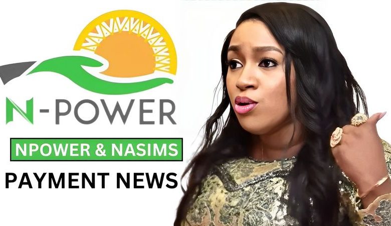 FG Unveils Details Of New N-Power, Increases Age Limit, Number Of Beneficiaries