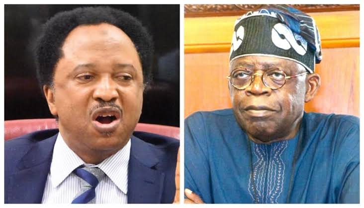 Shehu Sani Reveals What Supreme Court Should Do After Getting Two Different Letter About Tinubu’s Certificate