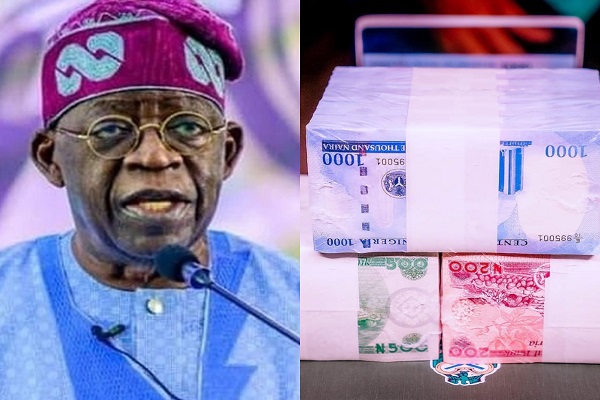 BREAKING: Old, New Naira Notes To Co-Exist Till Further Notice, Supreme Court Rules