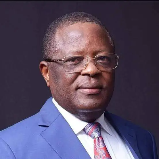 The other side of Umahi’s concrete roads, By Gideon Sylvester