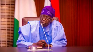 Students Loan: Tinubu Makes New Appointments To Steer NELFund