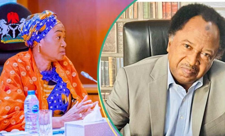 JUST IN: Shehu Sani Reacts After Islamic Cleric Said That Tinubu's Wife Must Be Killed