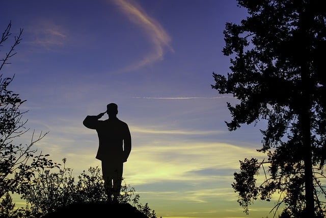Illustration of a solider paying homage to fallen soldiers. Image by Joan Greenman from Pixabay