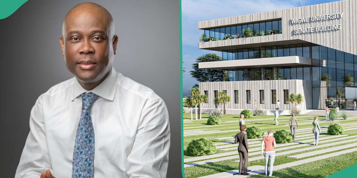 N22.4m Per Year": Courses, Fees at Wigwe University Owned by Late Access Bank CEO Herbert Wigwe - Legit.ng