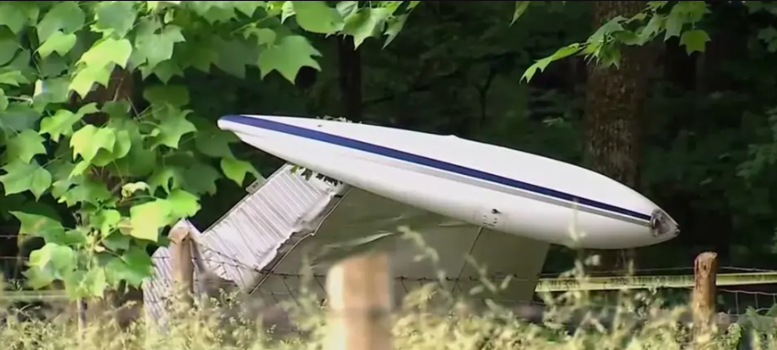 Three family members killed as plane breaks apart mid-air