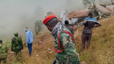 BREAKING: VP, Ex-First Lady Reportedly Dead In Malawi As No Survivor Was Found In Plane Wreckage (PHOTOS)