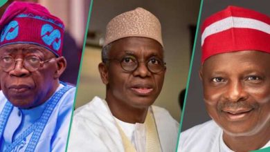 El-Rufai Ruffles APC As He Holds Key Meeting With Kwankwaso Amid Alleged Plan By Northern Powerful Northern Politicians To Unseat Tinubu