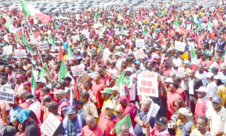 Drama As One Of The Hired Anti-End Bad Governance Protesters Confesses (VIDEO)