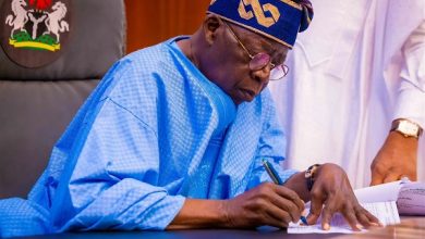 Tinubu Makes New Appointments